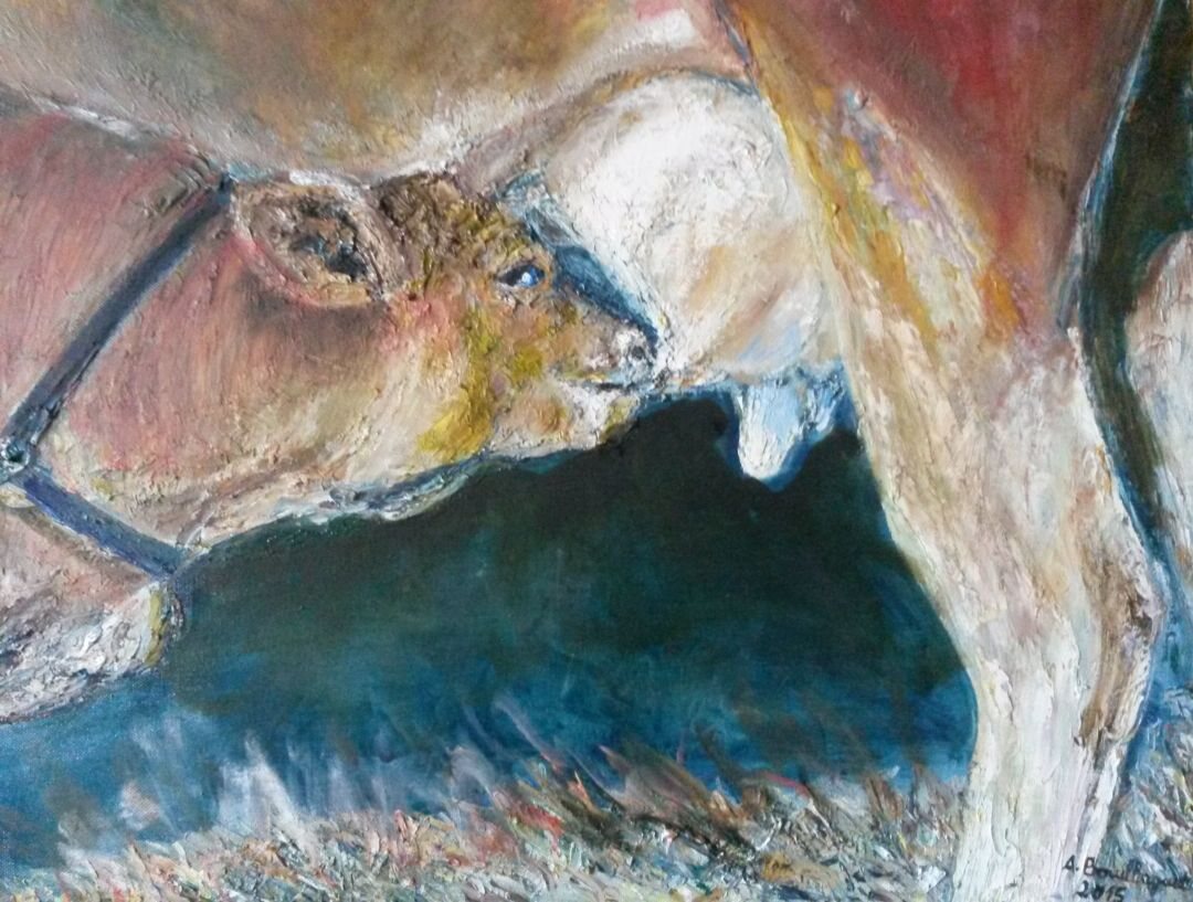 Le petit veau, 61 × 50 cm — peinture d’Alain Bouillaguet