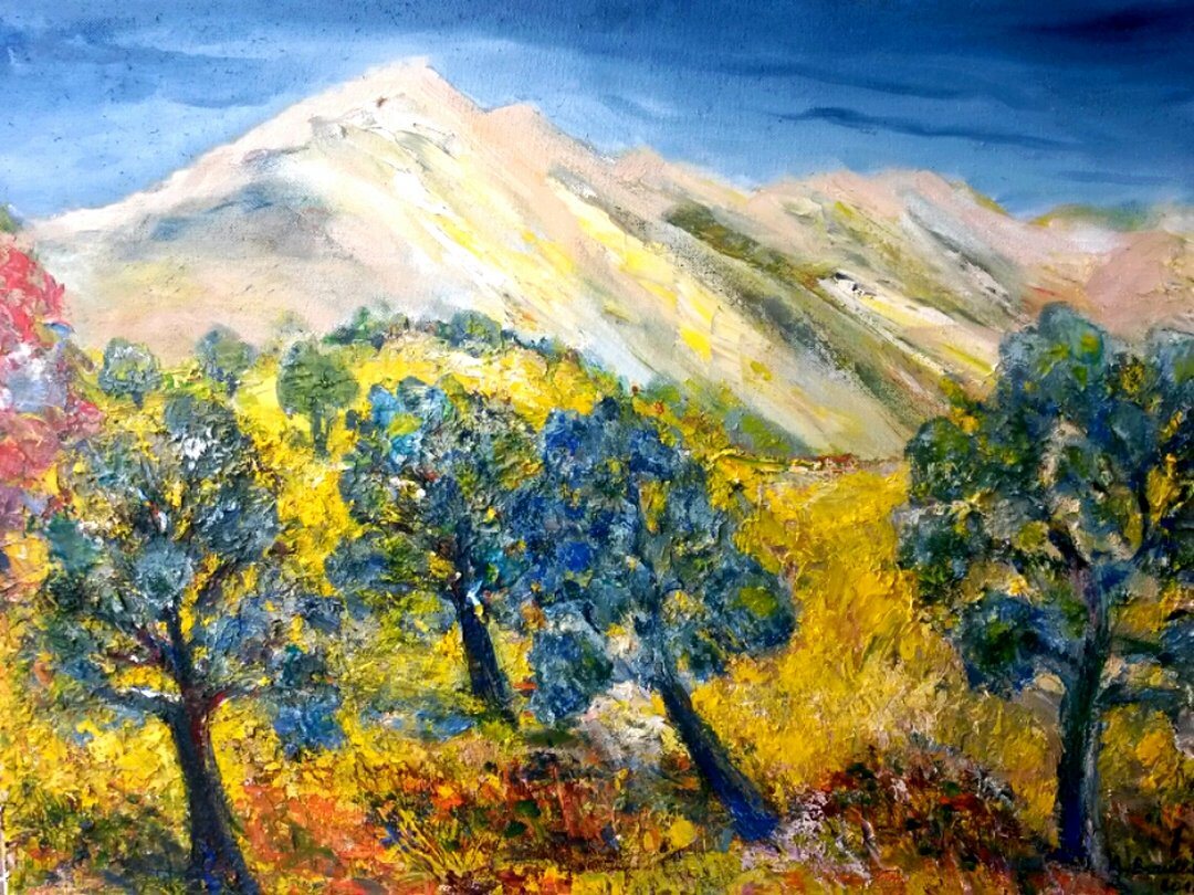 Oliviers dans le Lubéron, 61 × 50 cm — peinture d’Alain Bouillaguet